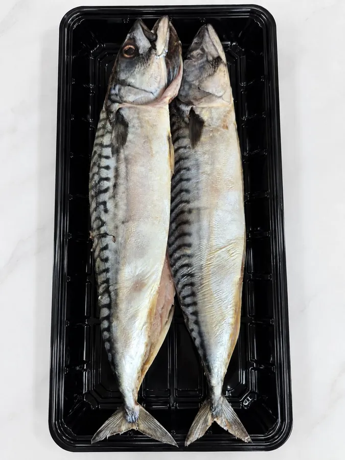 Salted Mackarel