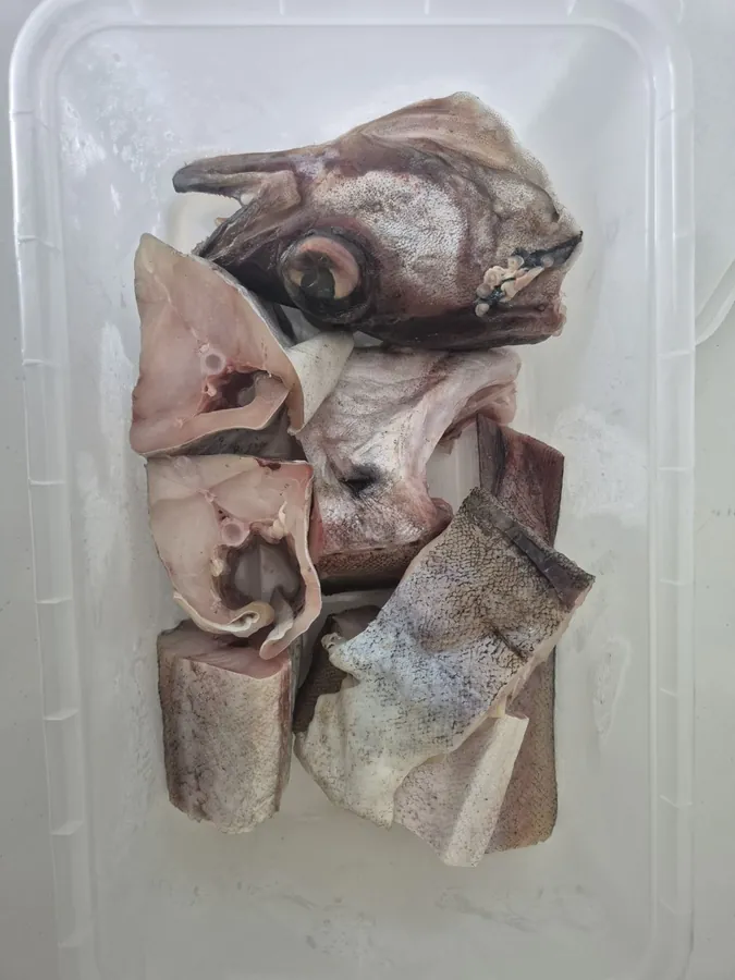 DongTe. Cleaned. Frozen Pollock