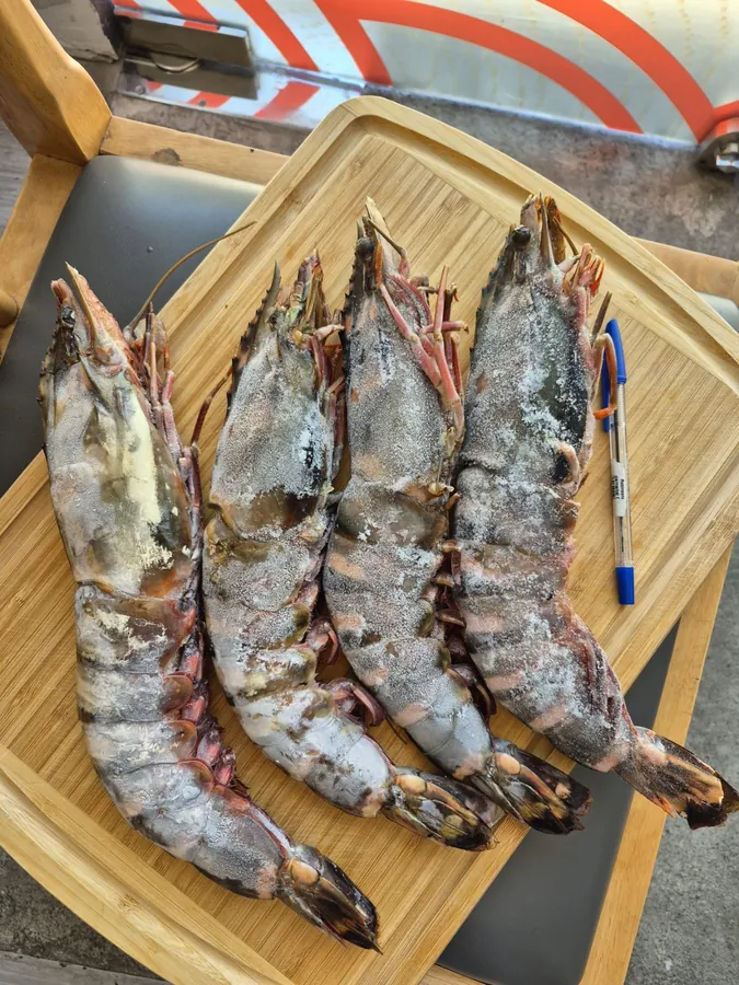 Giant Sea Tiger Shrimp