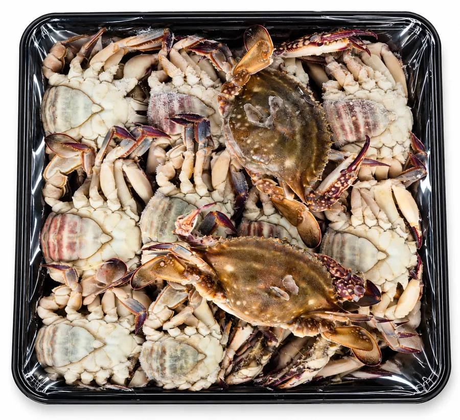 Kkotge. Roe-bearing BlueS.Crab